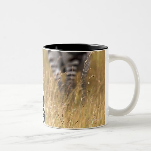 Caneca De Café Em Dois Tons Zebras na grama alta (Direita)