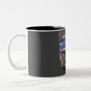 Caneca De Café Em Dois Tons Zion National Park - O rio Virgem
