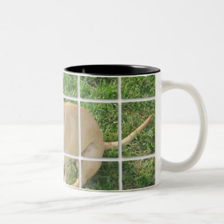 Caneca De Café Em Dois Tons Zoe telhou a foto
