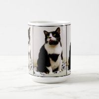 Engraçado Tuxedo Cat Trio Mug