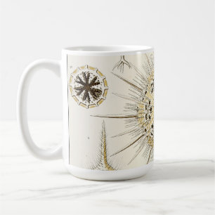 Caneca De Café Ernst Haeckel Phaeodaria