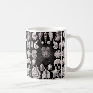 Caneca De Café Ernst Haeckel Thalamophora mim