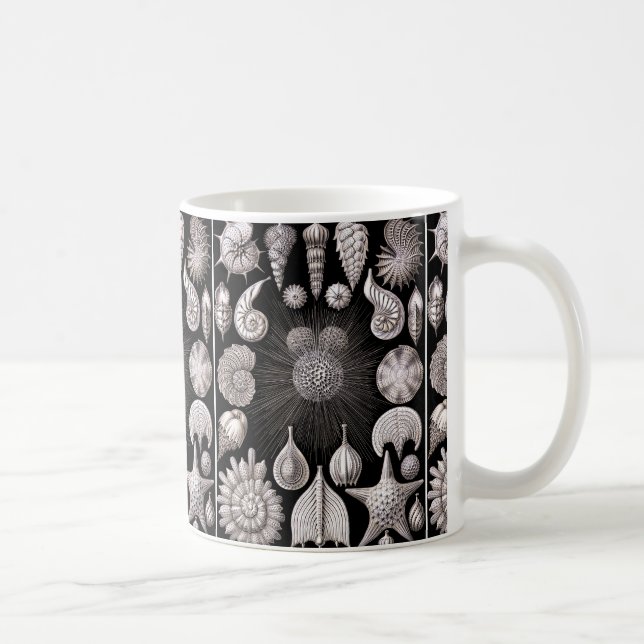 Caneca De Café Ernst Haeckel Thalamophora mim (Direita)