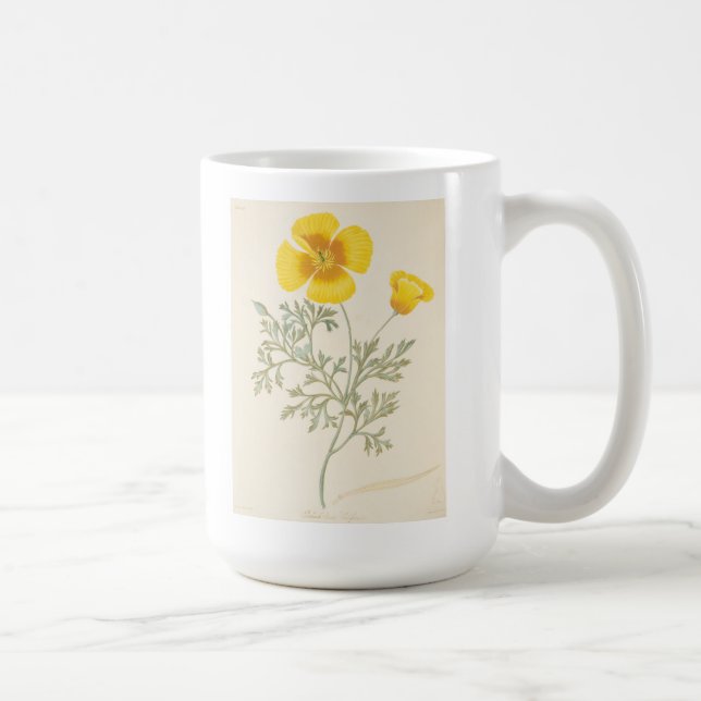 Caneca De Café Eschscholtzia californiano (Direita)
