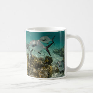 Caneca De Café Escola de Peixes Permitidos