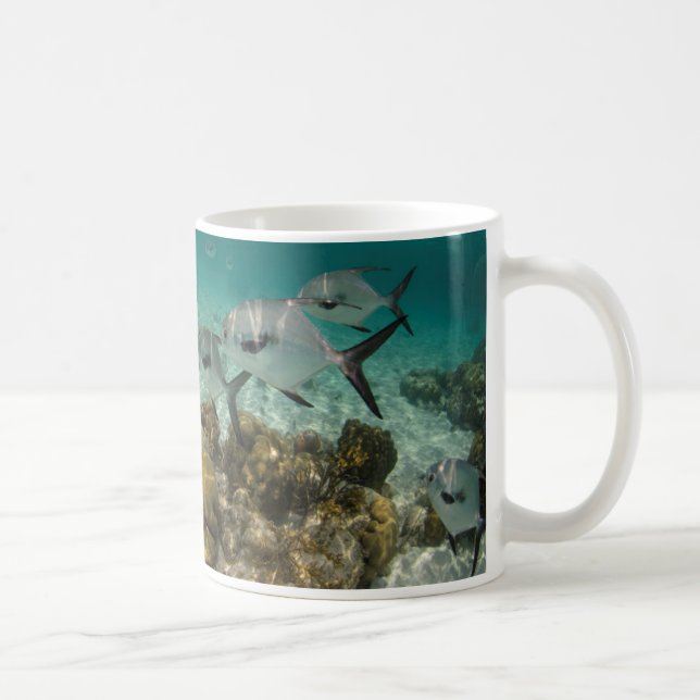 Caneca De Café Escola de Peixes Permitidos (Direita)