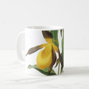 Caneca De Café escorregador(Cypripedium sp.) de Redouté
