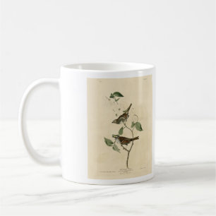 Caneca De Café Espantalho com garganta branca, Aves da América de