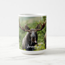 Espingarda Touro Moose  