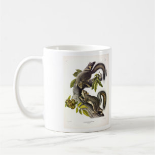 Caneca De Café Esquilo das Cinzas orientais (Esquilo Migratório)