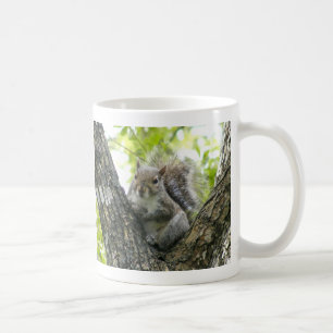 Caneca De Café Esquilo de árvore