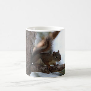 Caneca De Café Esquilo em um Pinheiro