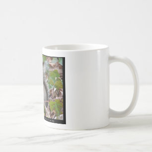 Caneca De Café Esquilo Na Hera - Presentes de Amor e Roupas