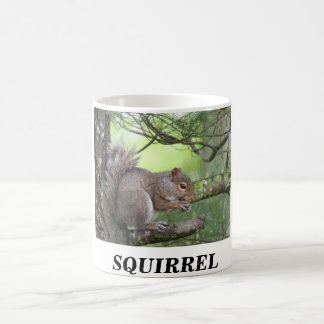 CANECA DE CAFÉ ESQUILO NO PINHEIRO QUE COME A PORCA