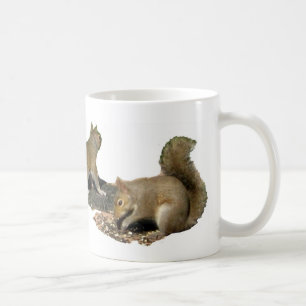Caneca De Café Esquilos Querem se Divertir!