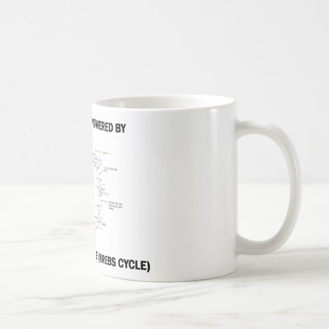 Caneca De Café Esta máquina é psta pelo ciclo de ácido cítrico (Direita)