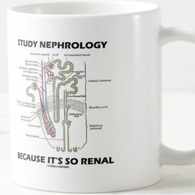 Caneca De Café Estude Nefrologia Porque é Tão Nefrologia Renal (Nephrologists will enjoy this medical truism advice mug featuring a kidney's nephron)