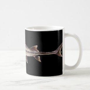 Caneca De Café Esturjão Pallid - albus de Scaphirhynchus
