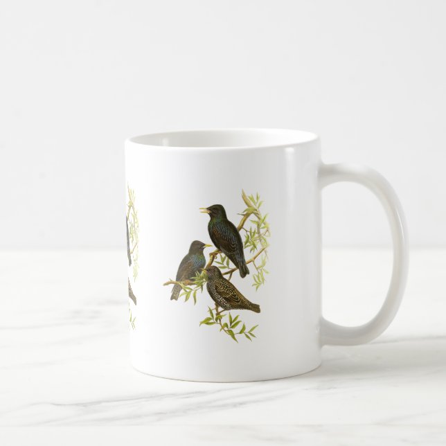 Caneca De Café Europeu Starling (Direita)