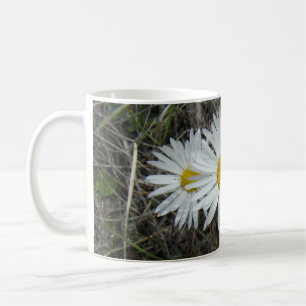 Caneca De Café F42 Flores Silvestres Brancas Aster Suave