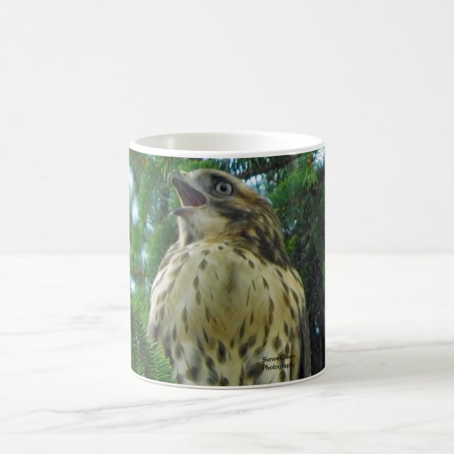 Caneca De Café Falcão de Cabeça Vermelha (Centro)