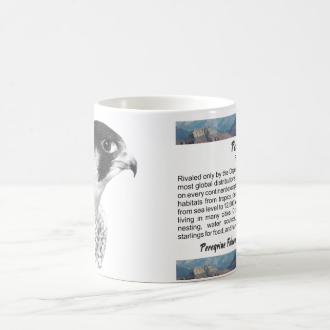 Caneca De Café Falcão-lápis peregrino (Centro)