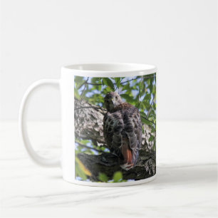 Caneca De Café falcão Vermelho-atado