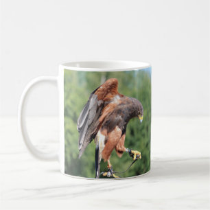 Caneca De Café Falconry, Jessen Harris Hawk