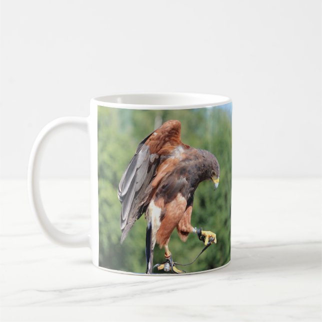 Caneca De Café Falconry, Jessen Harris Hawk (Esquerda)