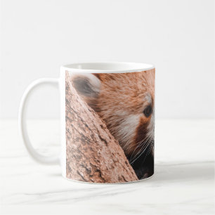 CANECA DE CAFÉ FAMÍLIA DE URSOS CUTA KOALA