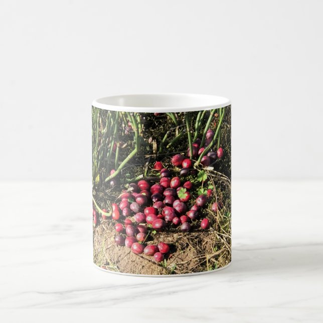 Caneca De Café Fazenda de amora, Long Beach, Washington (Centro)