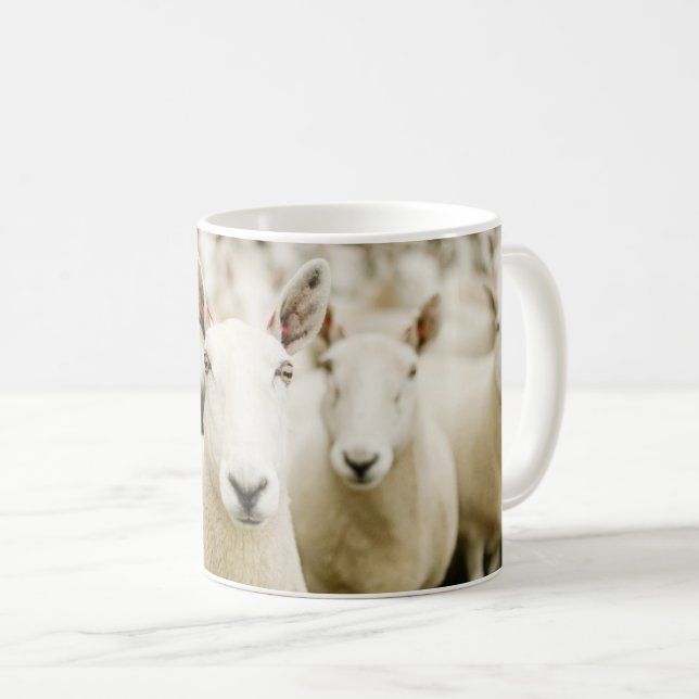 Caneca De Café Fazendas | Efetivos de ovinos (Frente Esquerda)