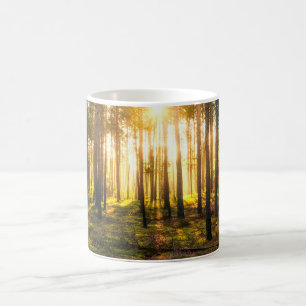 Caneca De Café Feixes do Sol brilham na floresta de pinheiros