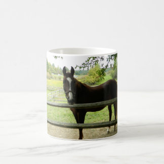 Caneca De Café Feliz Canhão de Cavalo