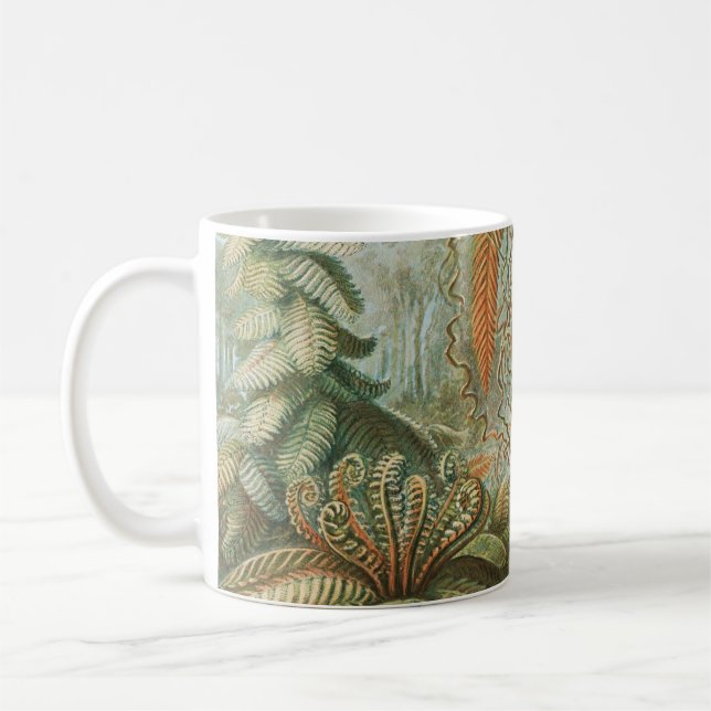 Caneca De Café Ferns, Filicinae Laubfarne por Ernst Haeckel (Esquerda)