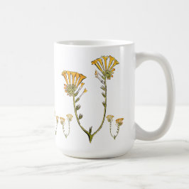 Caneca De Café Fiddleneck
