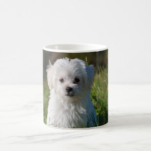 Caneca De Café Filhote branco fofo