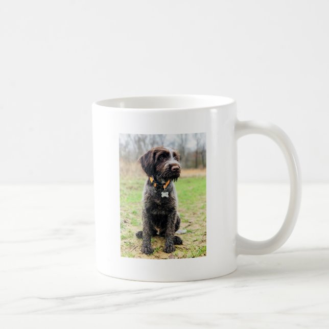 Caneca De Café Filhote de cachorro apontar Griffon Wirehaired (Direita)