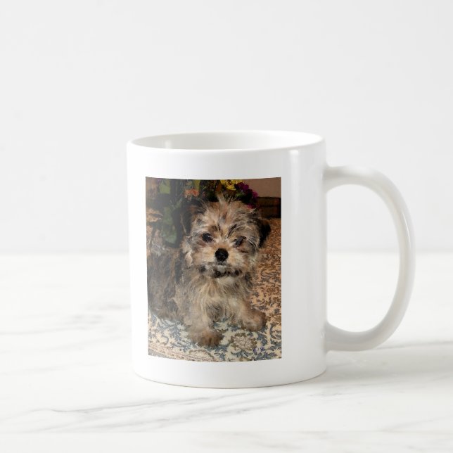 Caneca De Café Filhote de cachorro de Shorkie (Direita)