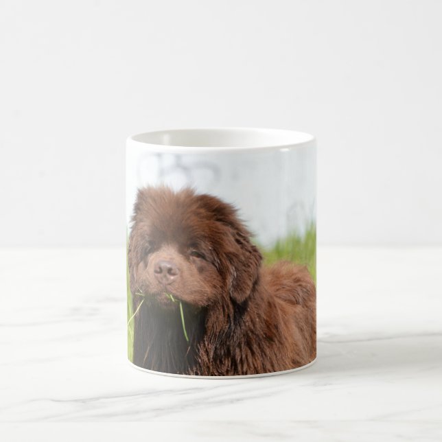 Caneca De Café Filhote de cachorro de Terra Nova (Centro)