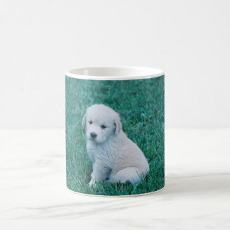 Caneca De Café Filhote de cachorro dourado no verde