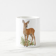 Filhote de Corça com Samambaias Verde da Floresta