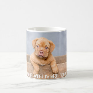 Caneca De Café Filhote de Pitbull Dourado Personalizado | Nome & 