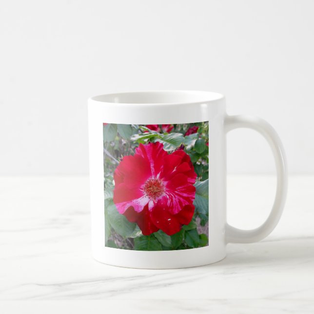 Caneca De Café Firecracker Rosa ~ Solteiro Bloom (Direita)