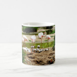 Caneca De Café Flamingos e pintinhos