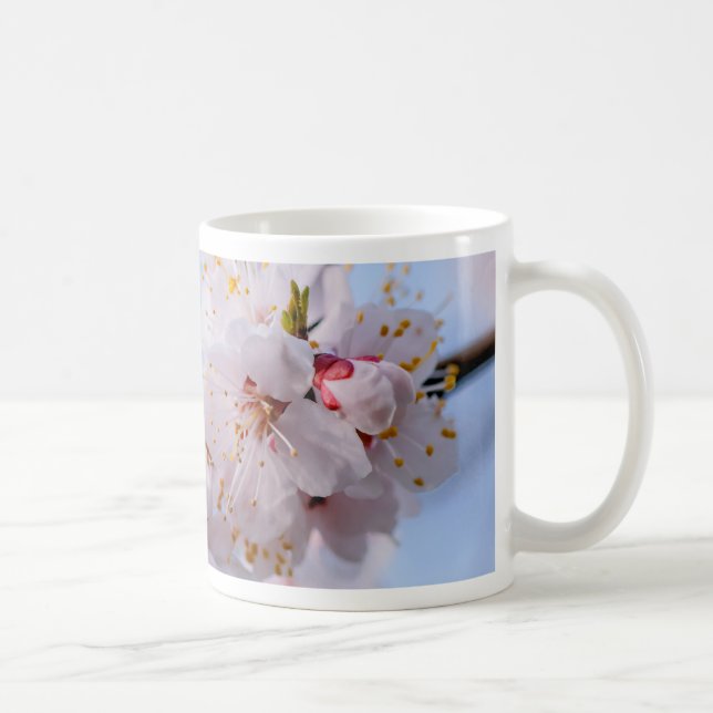 Caneca De Café Flor Apricot Japonês (Direita)