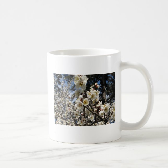 Caneca De Café Flor branco de cereja / Sakura / ク サ(桜) (Direita)