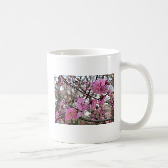 Caneca De Café Flor de cereja rosa / Sakura / サ ク ラ(桜) (Direita)