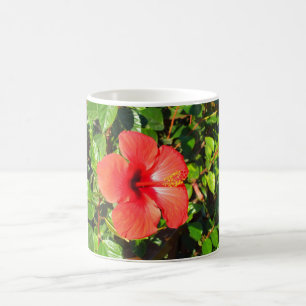 Caneca De Café Flor de hibiscus