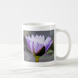 Caneca De Café Flor de Lotus